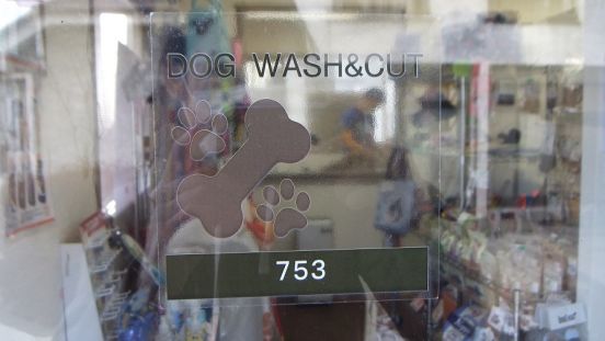 福島県福島市のトリミングサロン 犬の床屋さんなごみ（和）のサムネイル2枚目