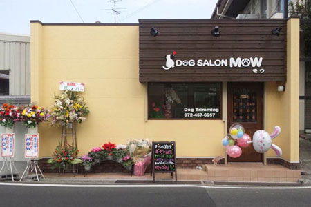 大阪府貝塚市のトリミングサロン DOG SALON MOWの1枚目