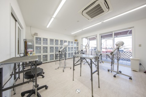 アイドッグラティ高松店 3