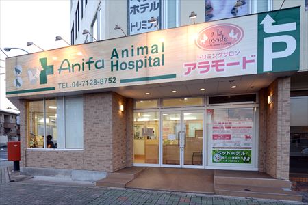 千葉県柏市のトリミングサロン トリミングサロン アラモード 柏店の1枚目