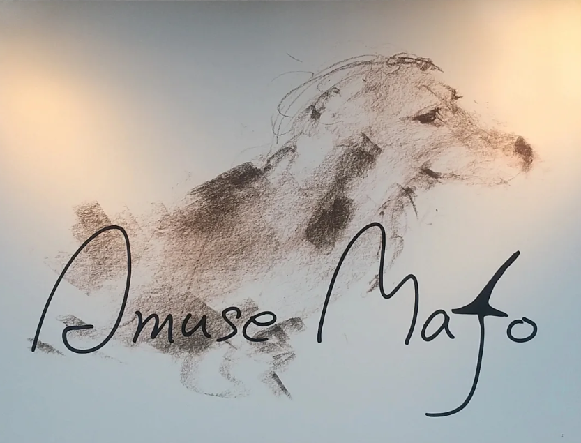 AmuseMajo 3