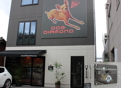 東京都立川市のトリミングサロン DOG DIAMONDのサムネイル1枚目