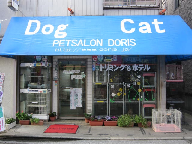 東京都八王子市のトリミングサロン 犬の美容室「ドリス」の1枚目