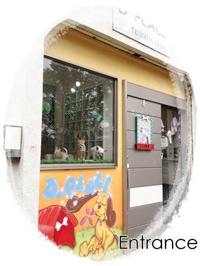 Trimming Salon D-PLACE　武蔵野本店 のサムネイル
