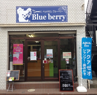 東京都練馬区のトリミングサロン ペットサロン Blueberryのサムネイル1枚目