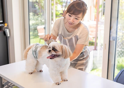 山田動物病院 2