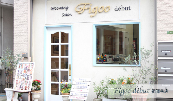 Figoo début（フィゴー デビュー）祖師谷店 のサムネイル