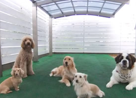 わんこ専門HostFamily　丸塚本店 5