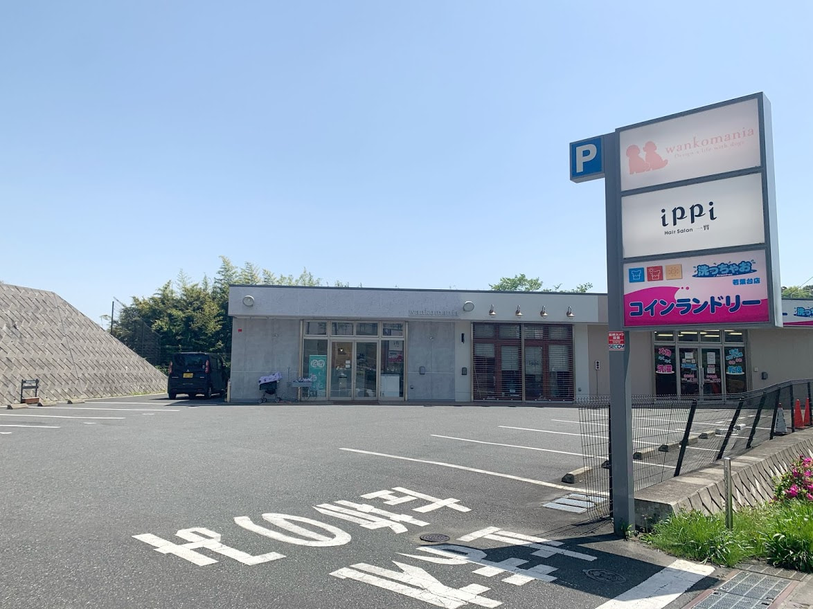 サロン画像 2