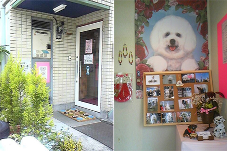 東京都稲城市のトリミングサロン 犬の美容室 わんこまにあのサムネイル1枚目