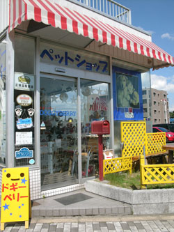 神奈川県相模原市中央区のトリミングサロン ドギーベリー 相模原本店のサムネイル1枚目