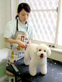 動物病院併設サロンだからこその安心感!
