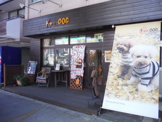 神奈川県横浜市中区のトリミングサロン Km's DOG(コムズドッグ)のサムネイル2枚目
