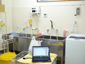 ドッグサロンアトランティス 2