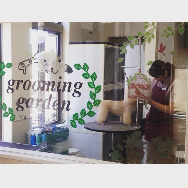 福岡県志免町のトリミングサロン トリミングサロン grooming gardenのサムネイル1枚目