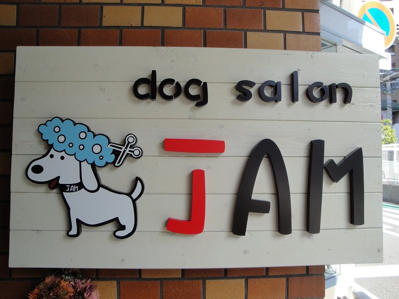 大阪府大阪市北区のトリミングサロン dog salon JAMの1枚目