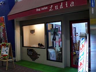 大阪府のトリミングサロン dog salon Ludiaの1枚目