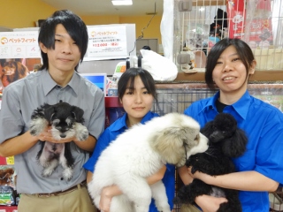 トリミングサロン 空港ドッグセンター 豊中本店のトリマー STAFF