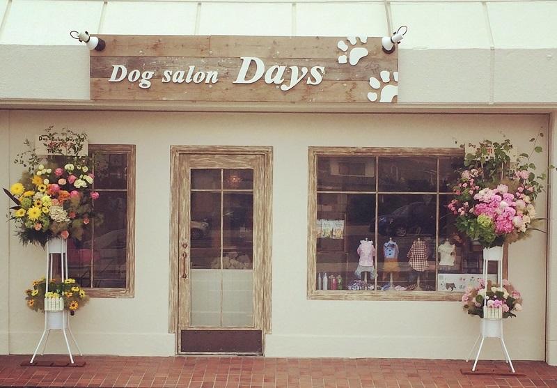 兵庫県加古川市のトリミングサロン Dog salon Daysの1枚目