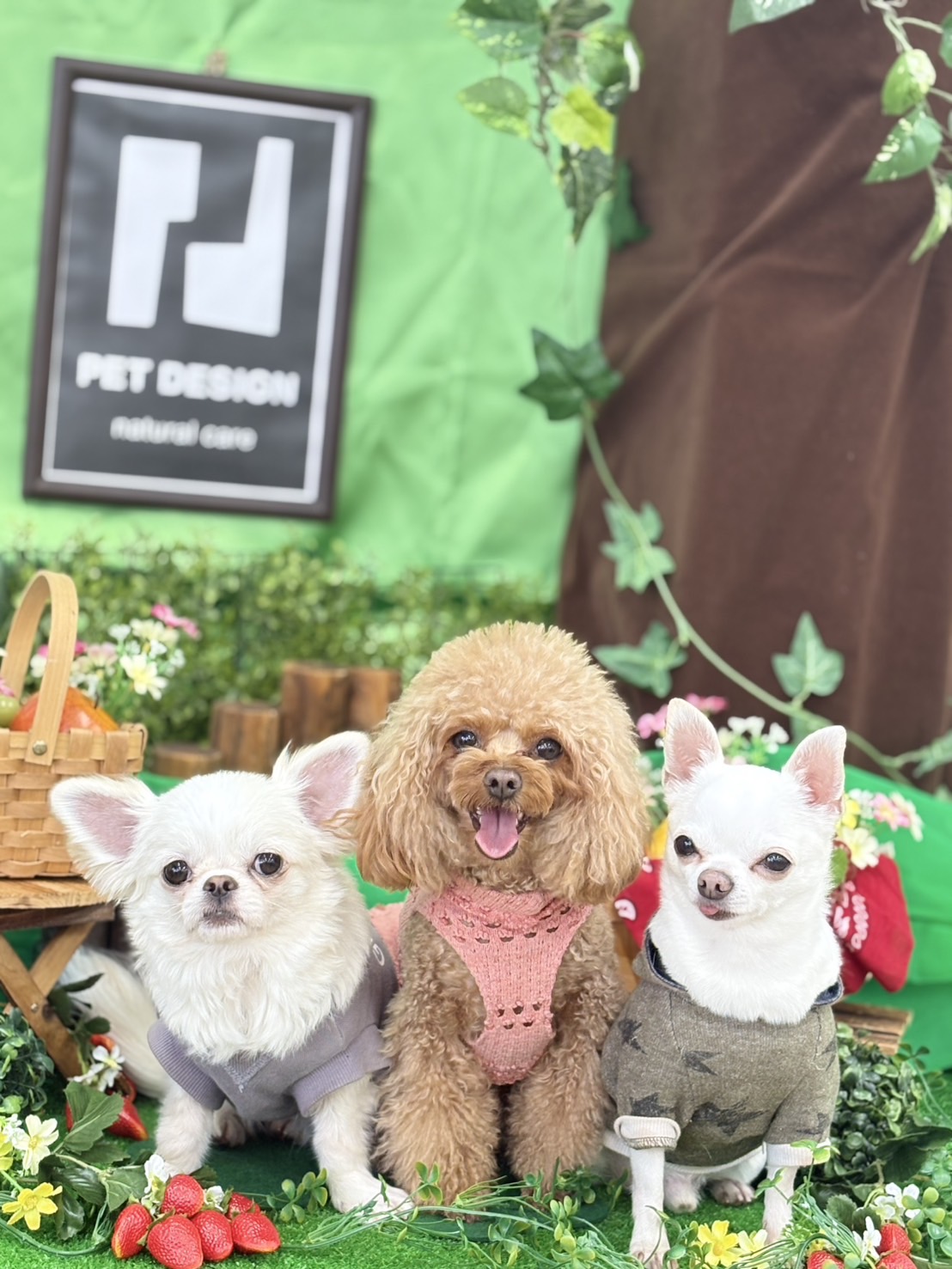 PETDESIGN春日井店 7