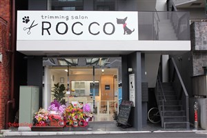 東京都新宿区のトリミングサロン trimming salon ROCCOの1枚目