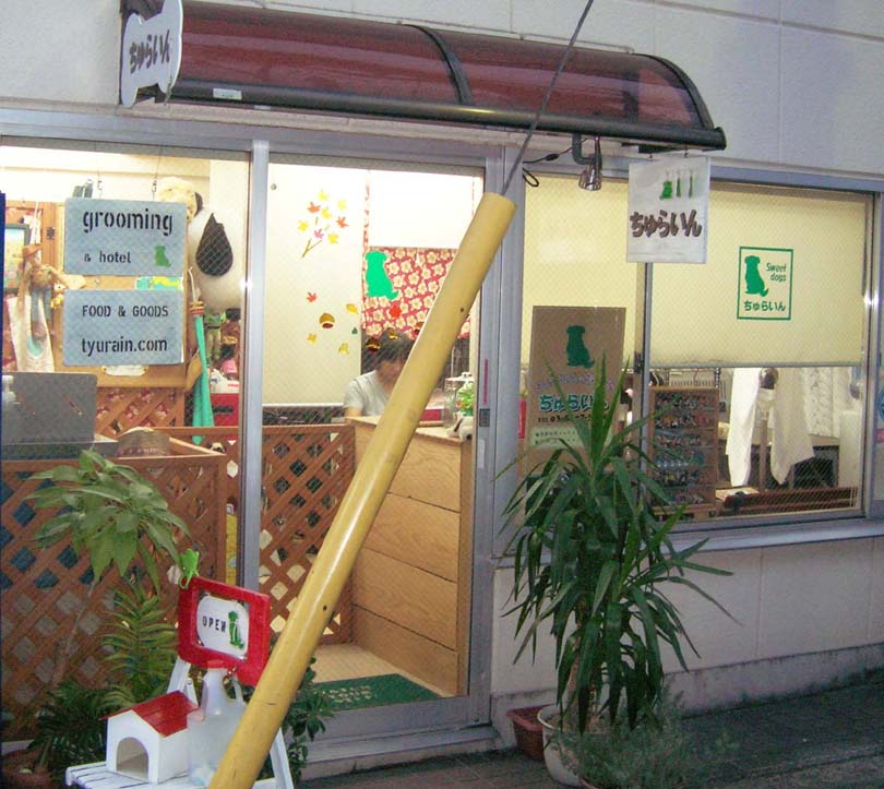東京都杉並区のトリミングサロン わんちゃんの散髪屋ちゅらいんのサムネイル2枚目