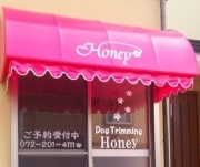 大阪府堺市堺区のトリミングサロン dog salon Honeyのサムネイル1枚目