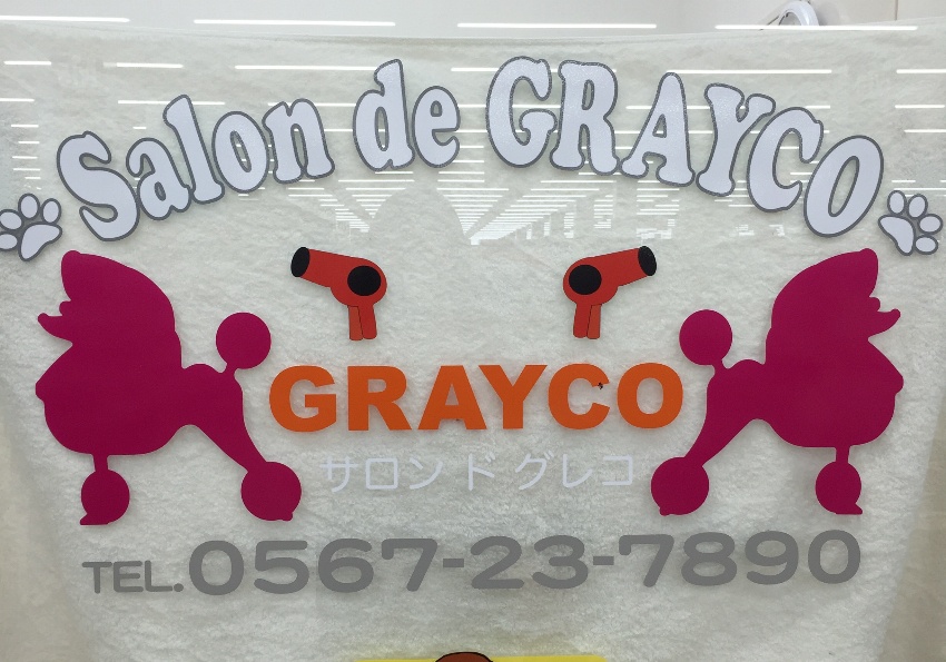 Salon de grayco 1