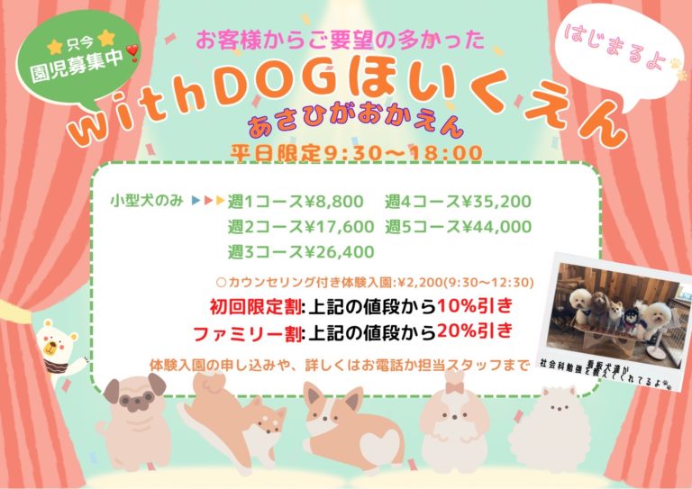 定額お預かり放題 「犬の保育園」!!! ※小型犬のみ