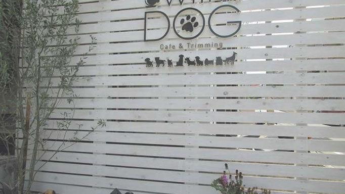 宮城県仙台市青葉区のトリミングサロン with DOGの2枚目