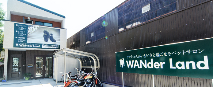 WANder Land 1