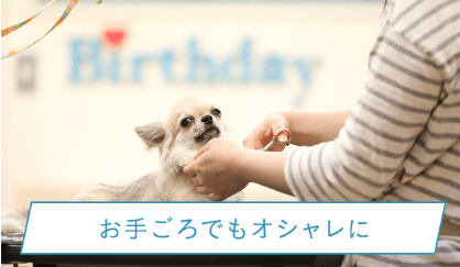 Pet Salon Birthday 洗足店 3