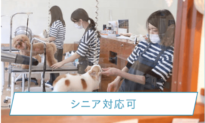 Pet Salon Birthday 洗足店 4