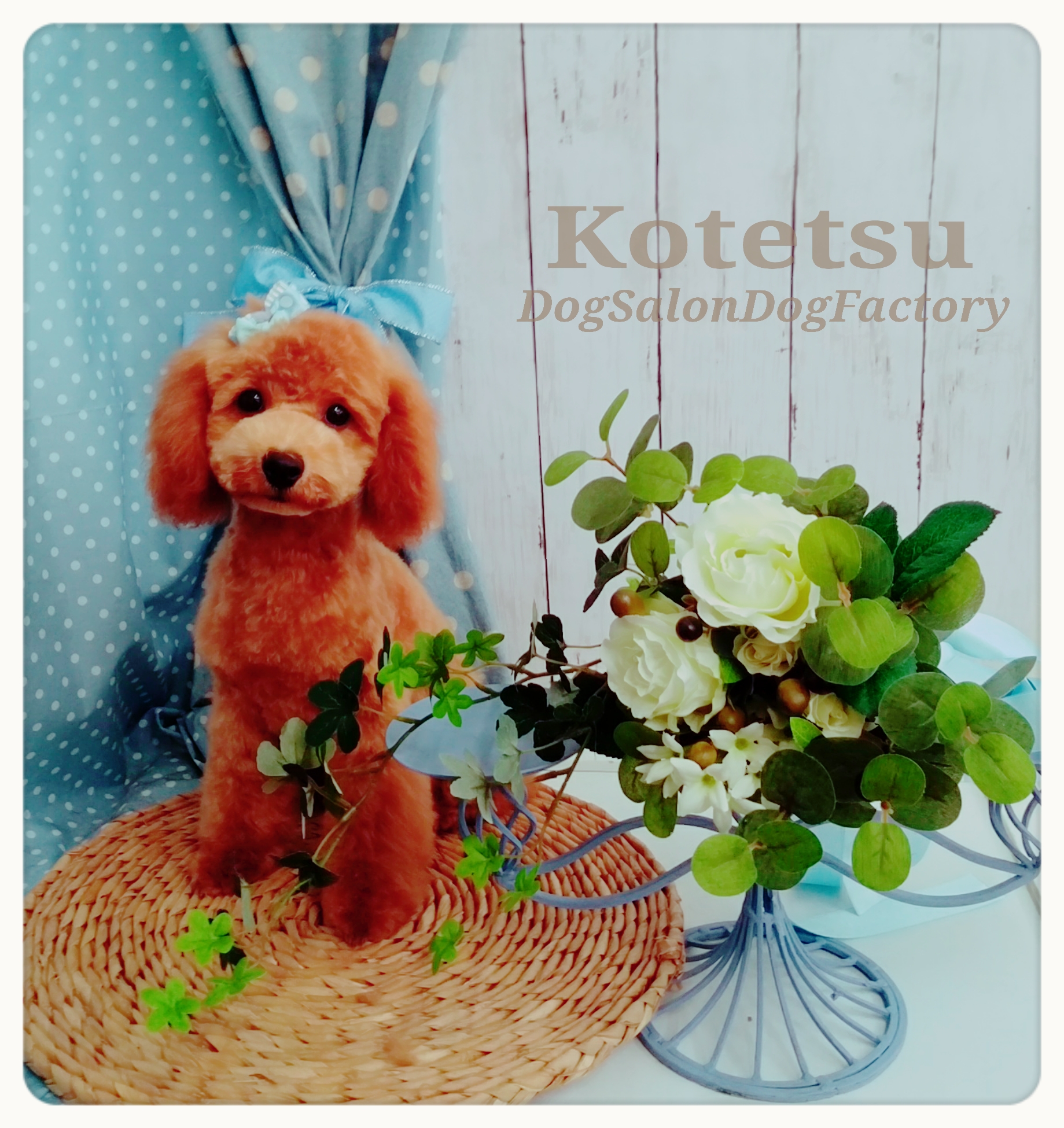 トリミングサロン DOG FACTORYのトリミングカット-655の1枚目