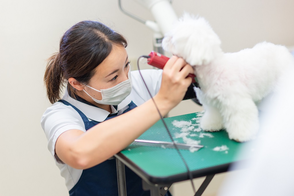 神奈川県茅ヶ崎市のトリミングサロン アンジェス動物病院トリミングサロンの4枚目