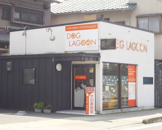 愛媛県松山市のトリミングサロン DOG LAGOONの1枚目