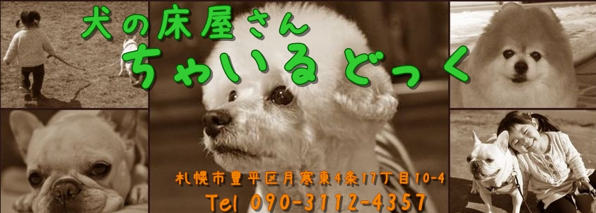 北海道札幌市豊平区のトリミングサロン 犬の床屋さん ちゃいるどっくの3枚目