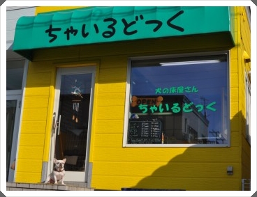 北海道札幌市豊平区のトリミングサロン 犬の床屋さん ちゃいるどっくの1枚目