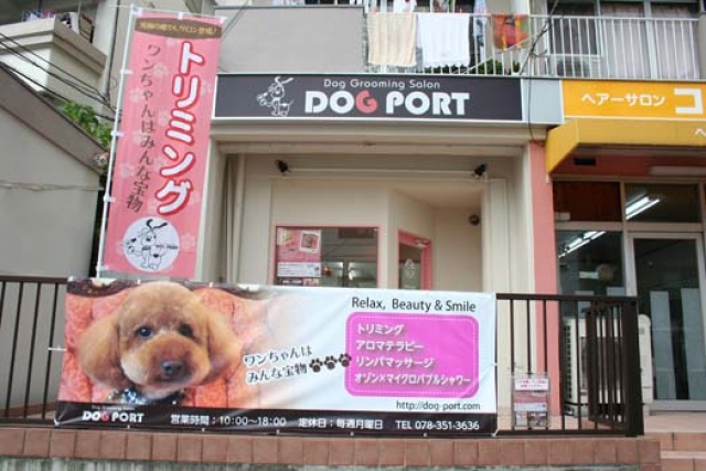 兵庫県神戸市中央区のトリミングサロン DOG PORTの1枚目