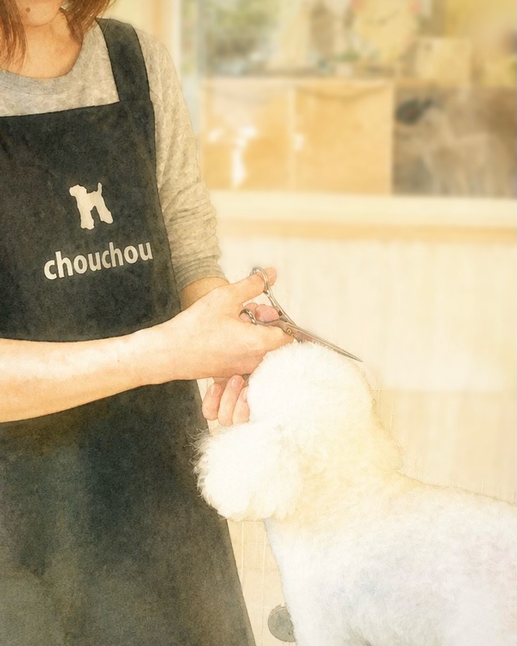 いぬの美容室chouchou-シュシュ- 3