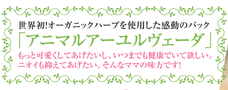 オゾンシャワー導入でより美しい仕上げをご提供♪
さらにアニマルアーユルヴェーダもおすすめです！