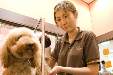 茨城県牛久市のトリミングサロン PET-SPAひたち野うしく店のサムネイル2枚目