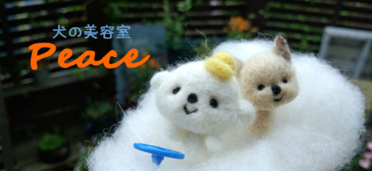 東京都大田区のトリミングサロン 犬の美容室 Peaceのサムネイル2枚目