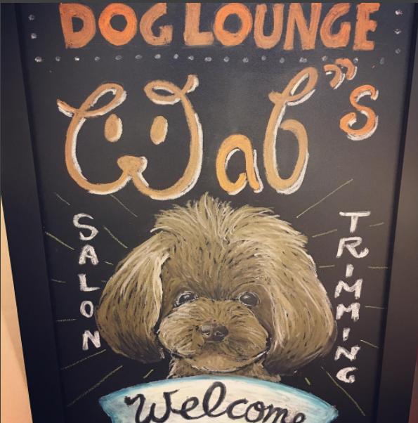 神奈川県横浜市青葉区のトリミングサロン dog lounge Wabsのサムネイル1枚目