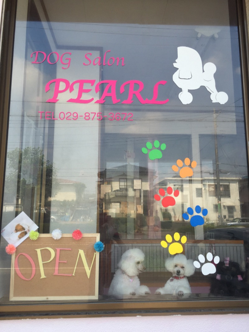 茨城県牛久市のトリミングサロン Dog Salon PEARLの1枚目