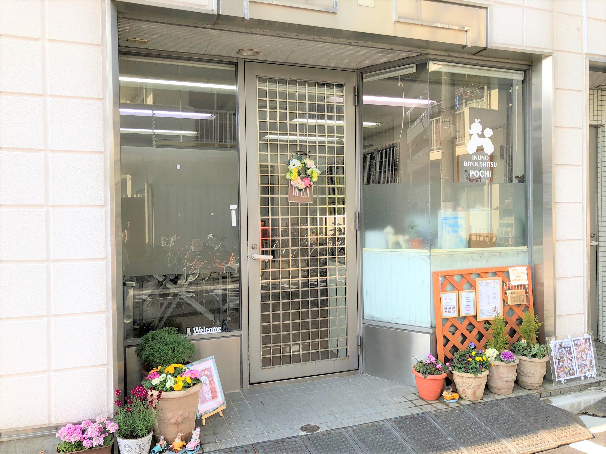 東京都文京区のトリミングサロン 犬の美容室 ぽちのサムネイル2枚目