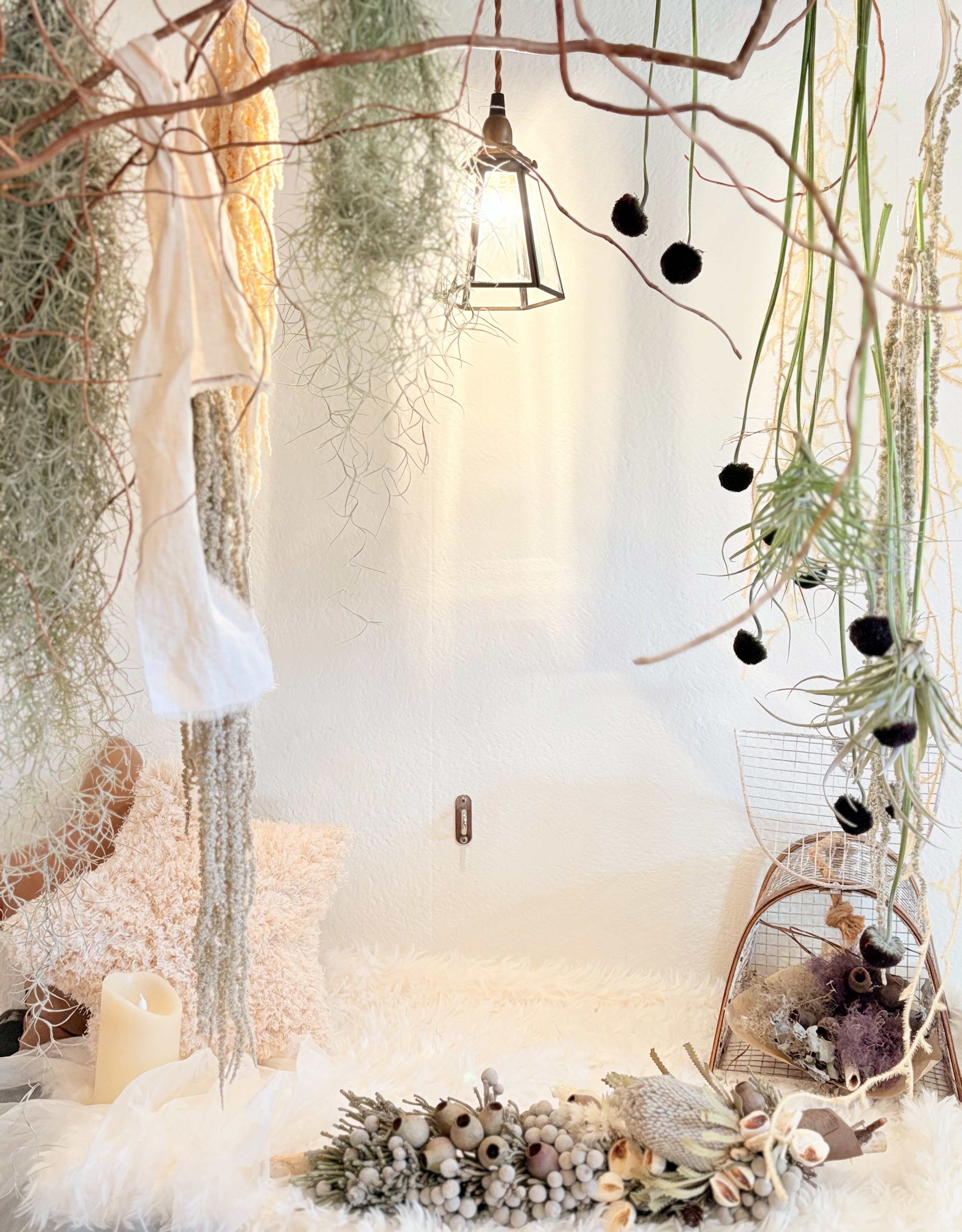 Dog Salon mof(ドッグサロン・モフ) 4