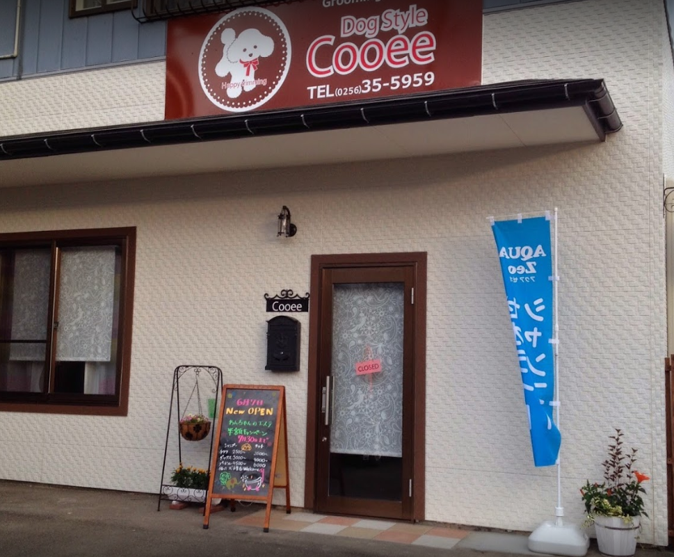 新潟県三条市のトリミングサロン Dog Style Cooeeの2枚目