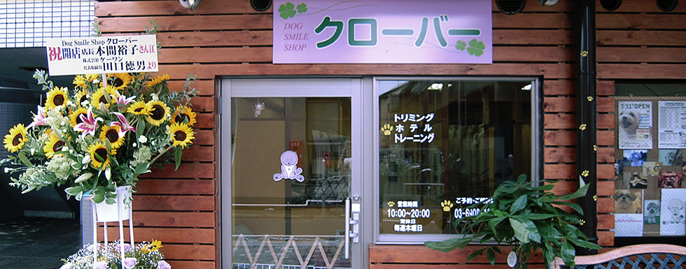東京都豊島区のトリミングサロン Dog Smile Shop クローバーの1枚目