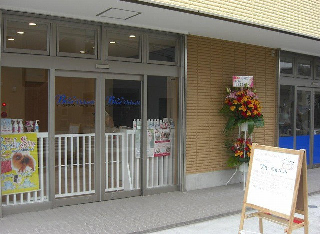 神奈川県川崎市多摩区のトリミングサロン ペットケアサロン Blue Velvettのサムネイル1枚目